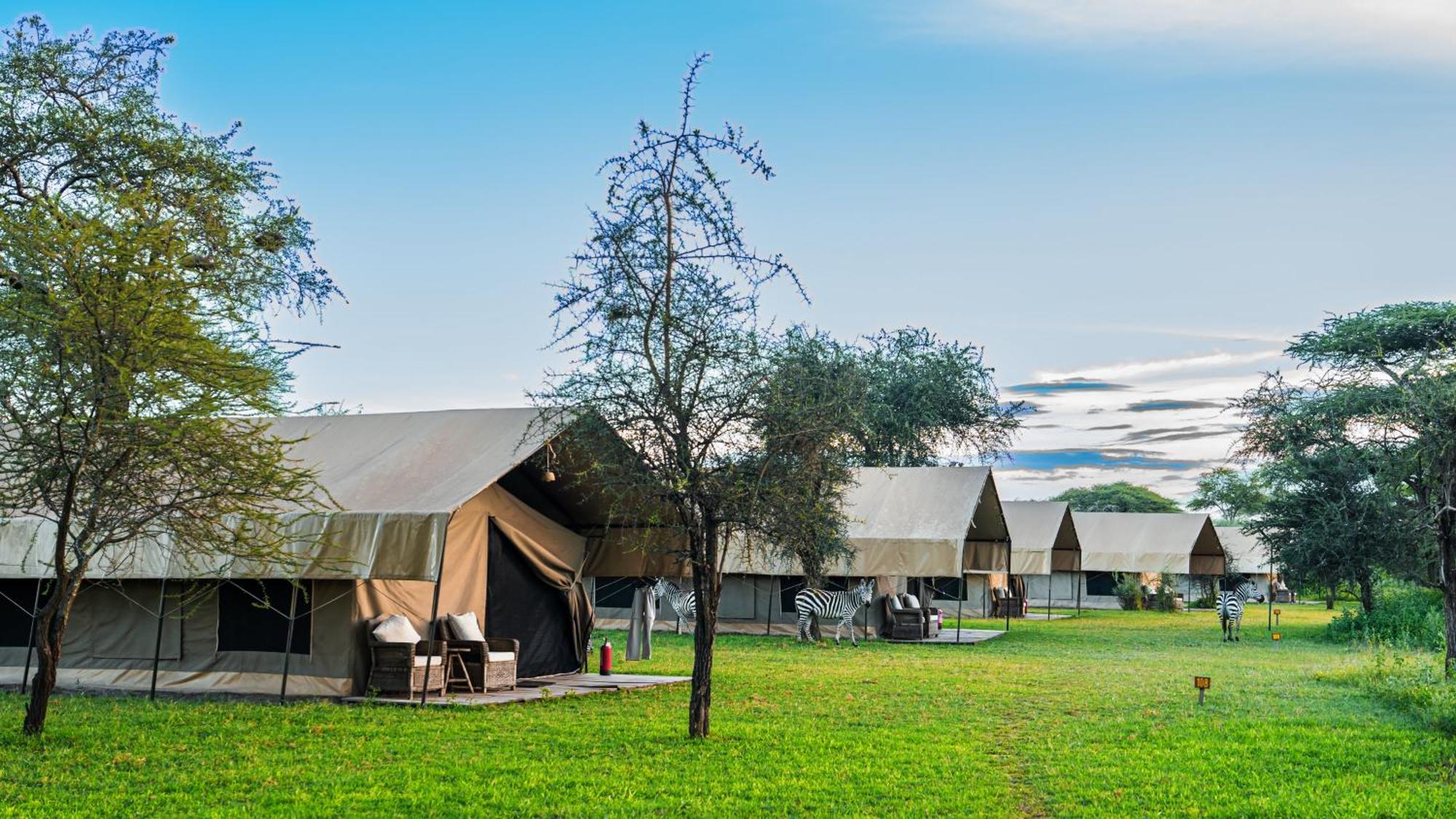 Africa Safari South Serengeti Ndutu Ngorongoro Sinoni Exterior foto