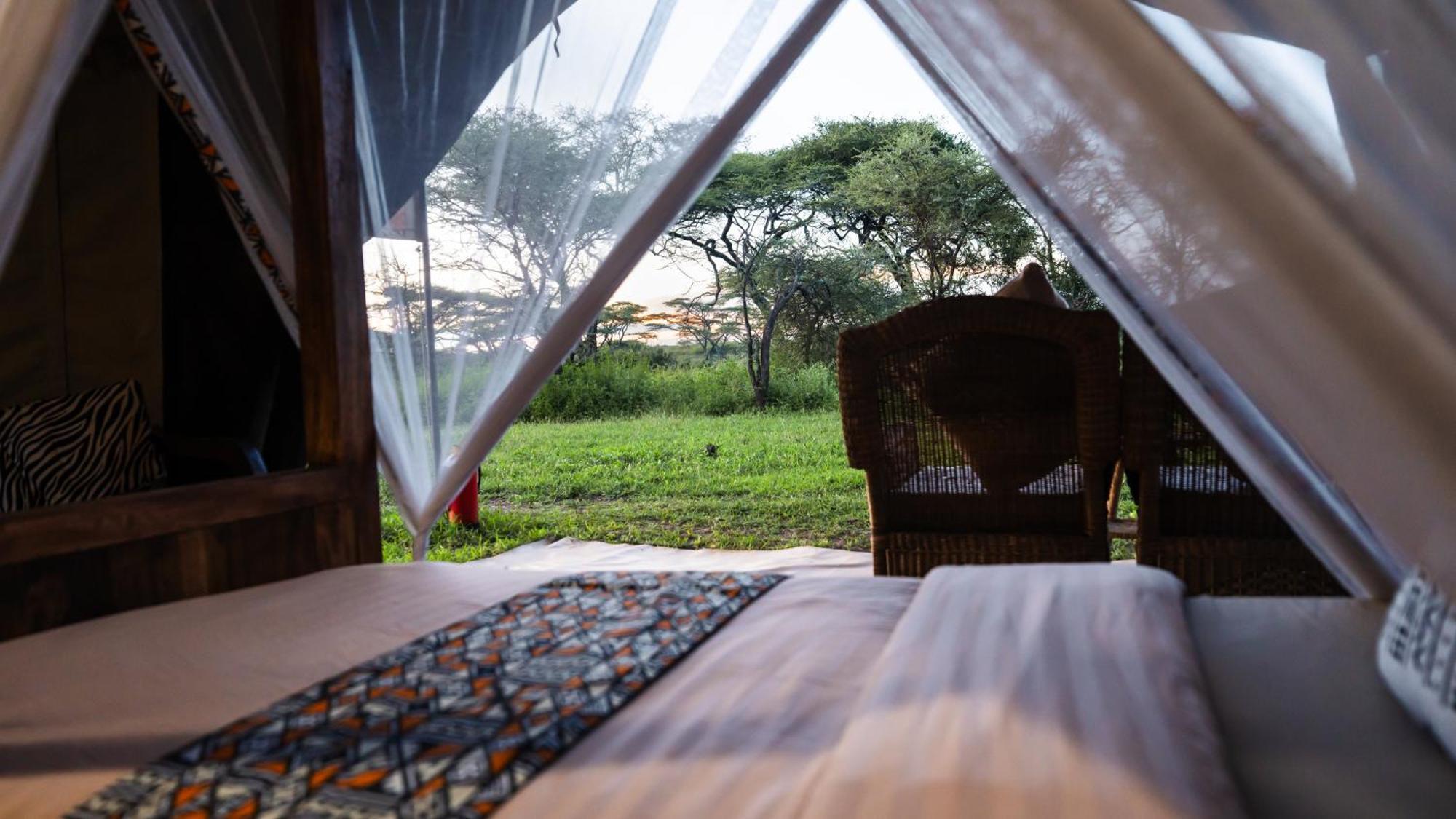 Africa Safari South Serengeti Ndutu Ngorongoro Sinoni Exterior foto